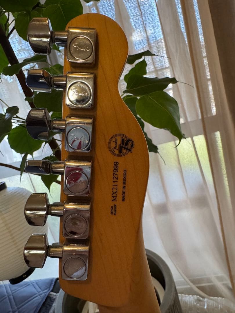 Fender Mexicoブラック