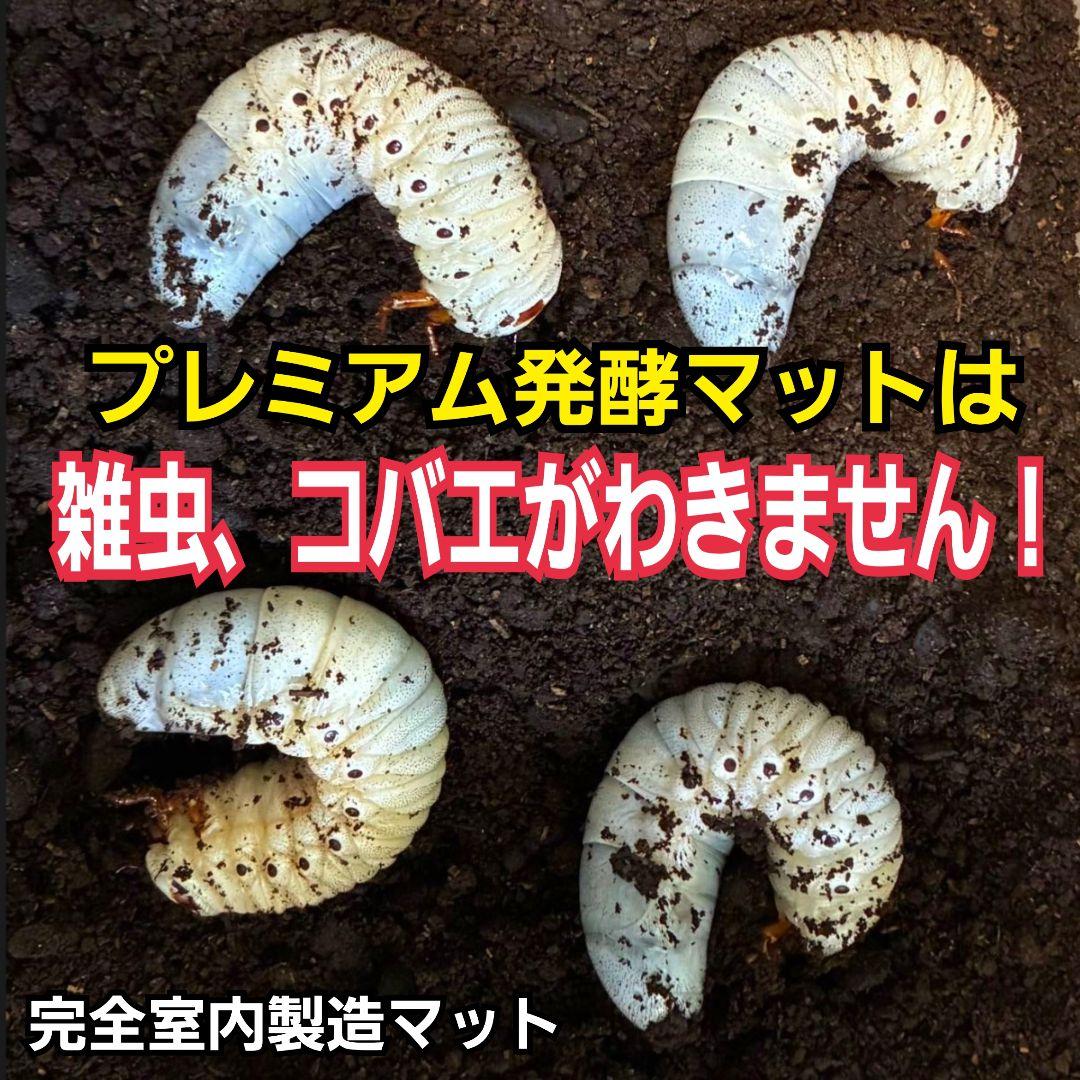 ヘラクレス181ミリ羽化実績！極上！プレミアム3次発酵カブトムシマット　100L