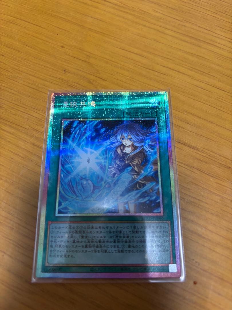 エルフェンノーツレギナ プリシクセット