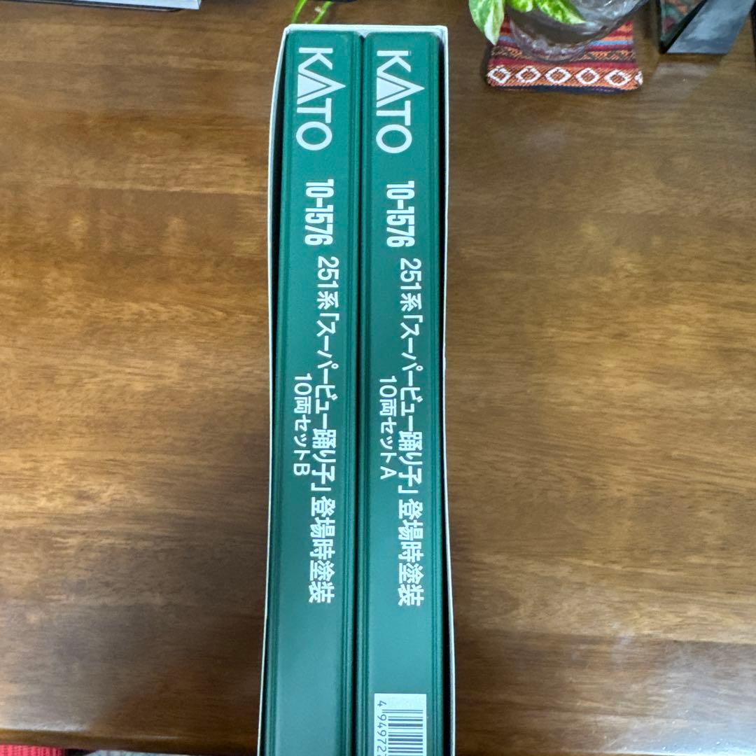 KATO 251系 スーパービュー踊り子10両A、Ｂセット10-1576 登場時
