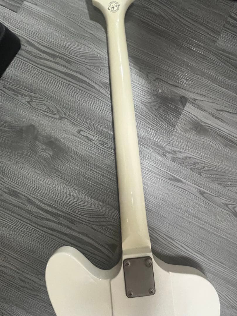 Epiphone by Gibson Thunderbird サンダーバード