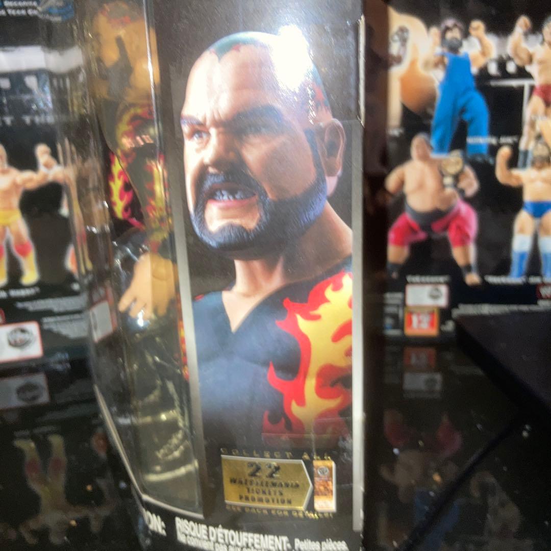 WWE クラシック9 バンバンビガロ