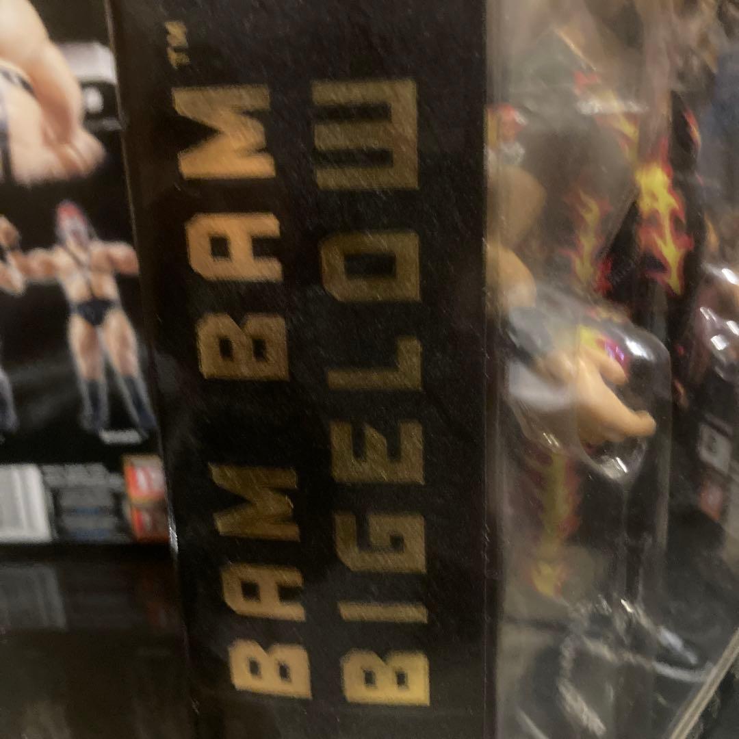 WWE クラシック9 バンバンビガロ