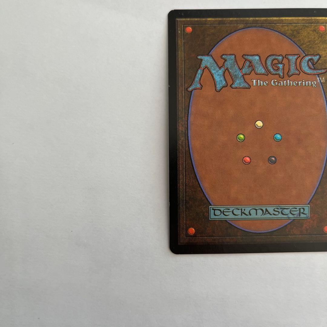 双頭のドラゴン　FOIL 日本語　マジックザギャザリング　MTG