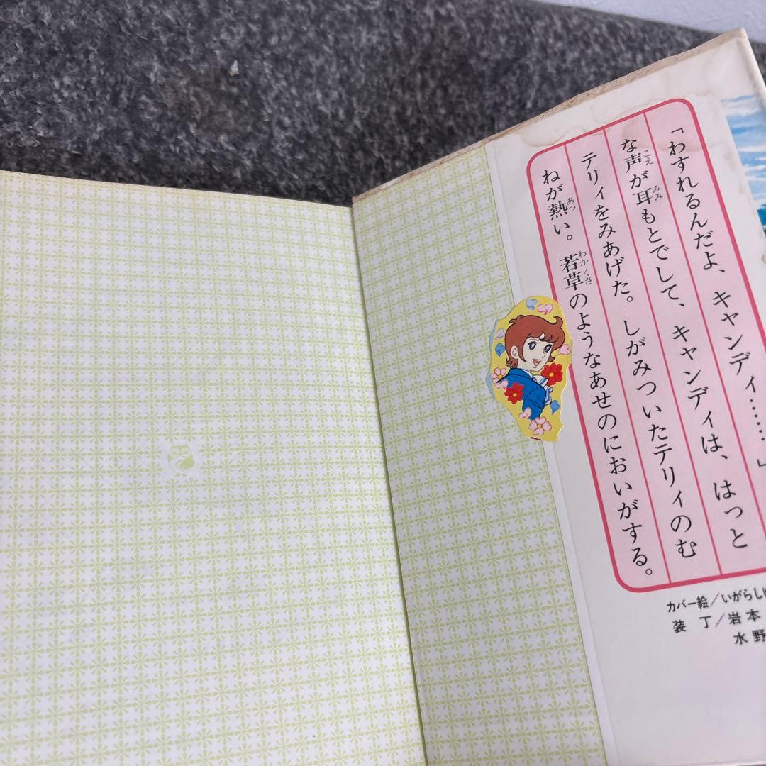 キャンディキャンディ 小説