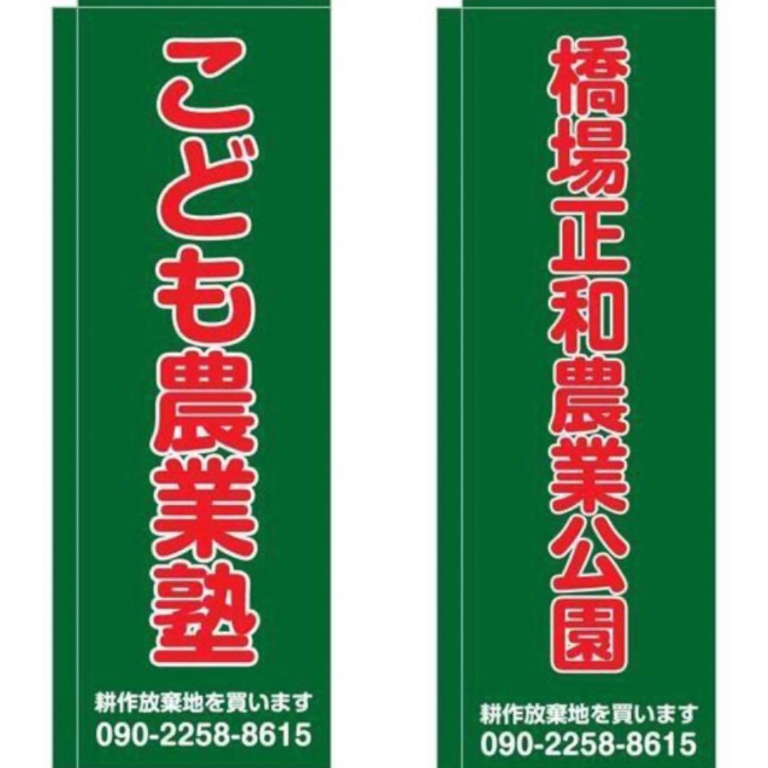 こころの風景コレクション【福王寺法林　ヒマラヤの朝】購入金額より60%お値引き！