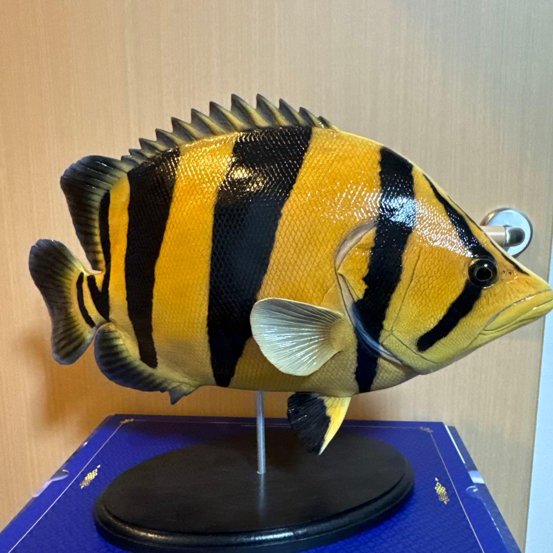 期間限定最終値引き ダトニオ フィギュア48cm オブジェ