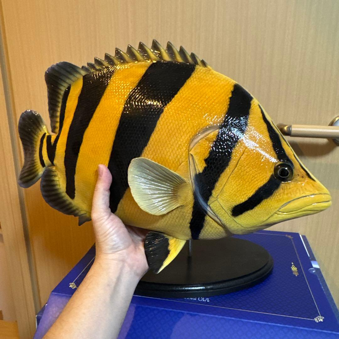 期間限定最終値引き ダトニオ フィギュア48cm オブジェ