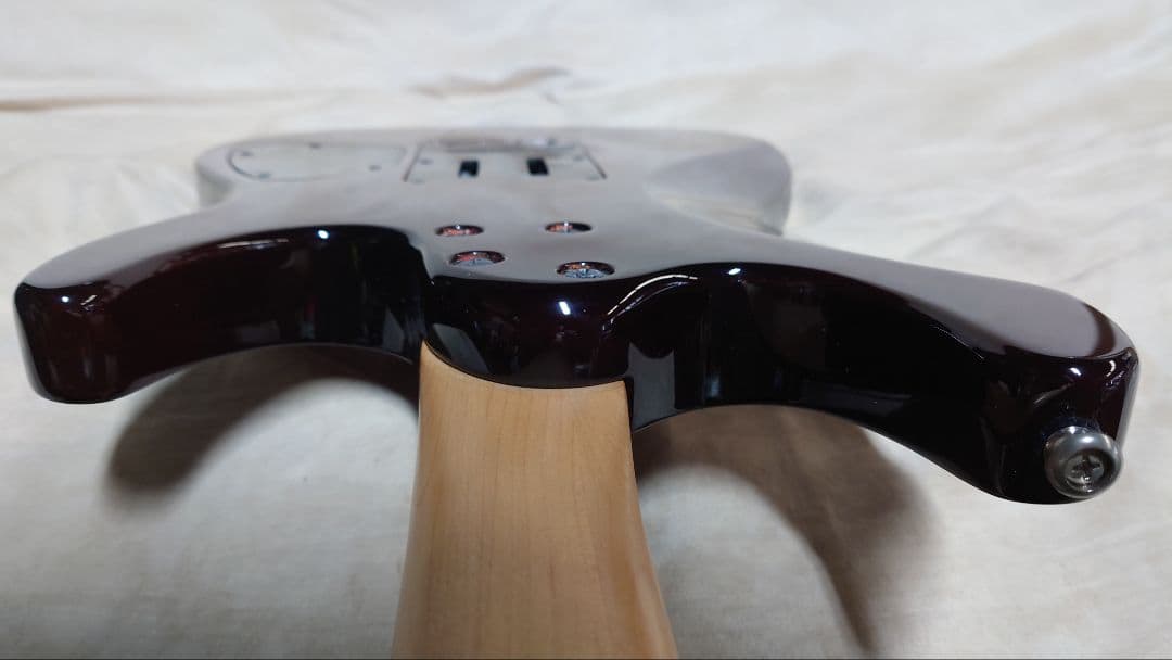 アイバニーズ SAシリーズ レフティ 社外ソフトケース付き