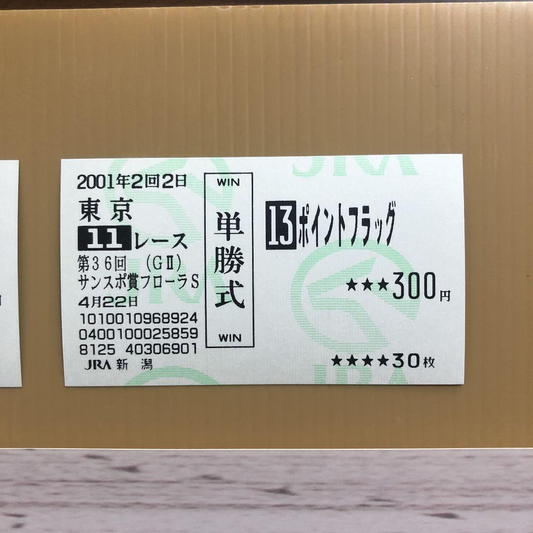 ゴールドシップの母　ポイントフラッグ　新馬戦