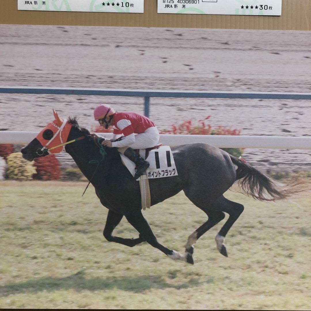 ゴールドシップの母　ポイントフラッグ　新馬戦