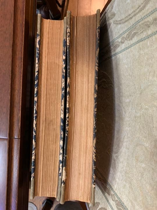 高見澤木版社版セザンヌ2冊セット