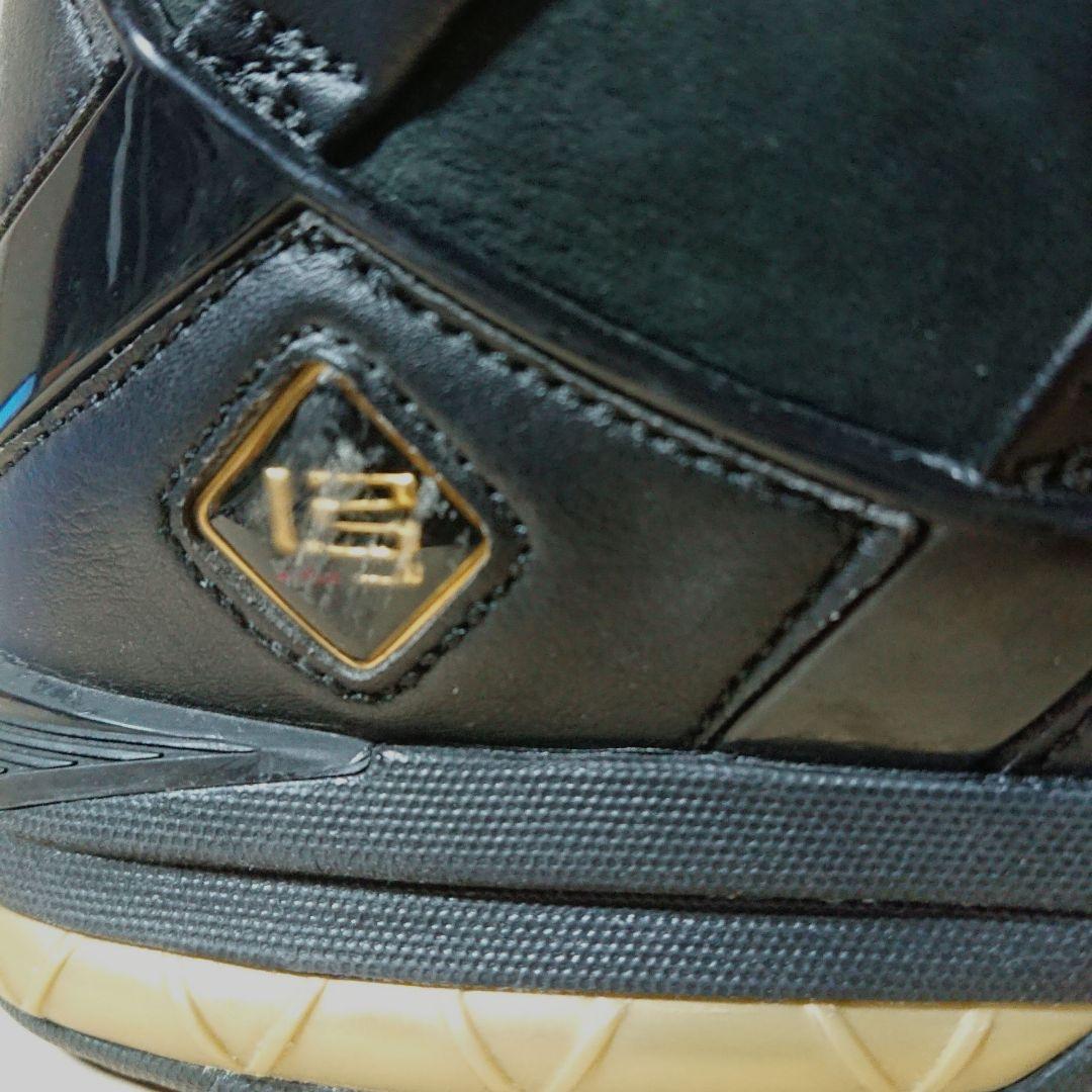 【希少】NIKE Zoom LeBron 3llic Gold シューズ