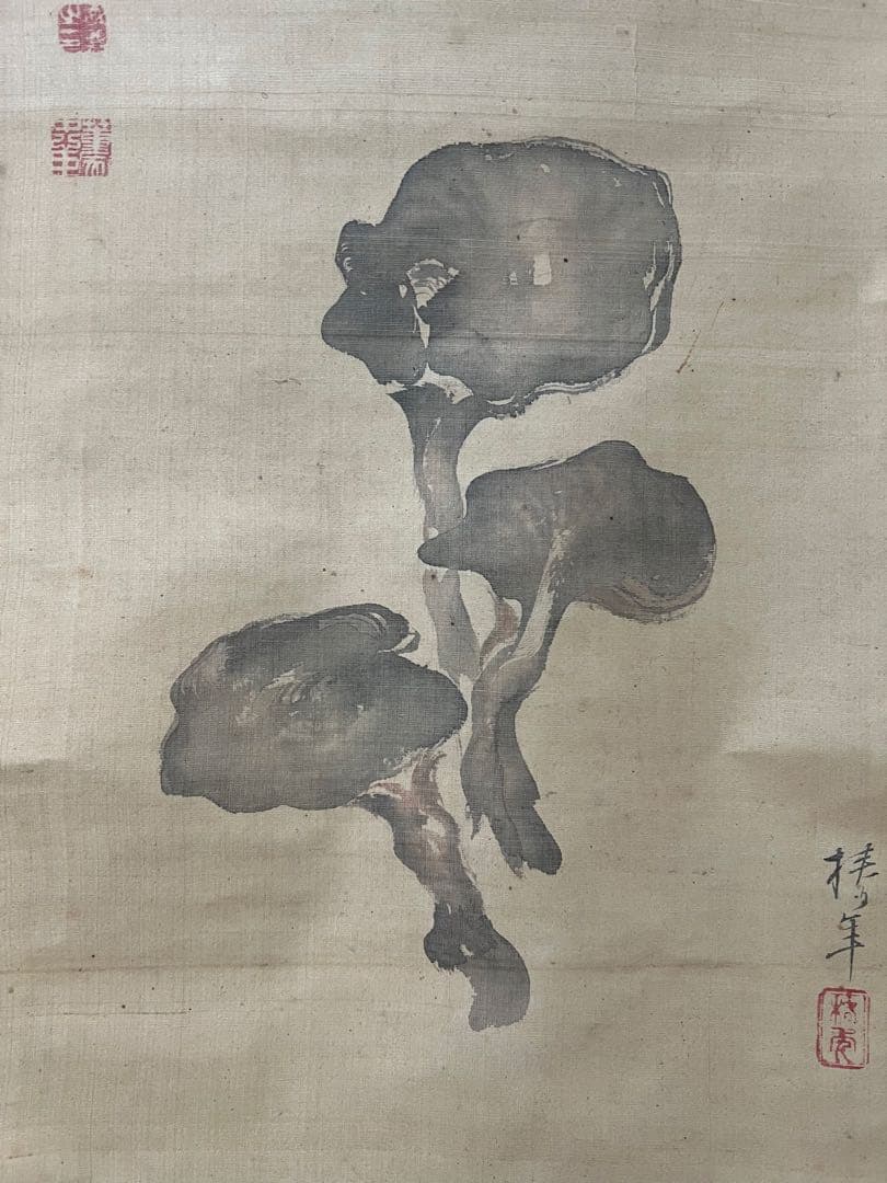 掛け軸　椿年絵／中井董堂（敬義）贊［霊芝之図］絹本　共箱！