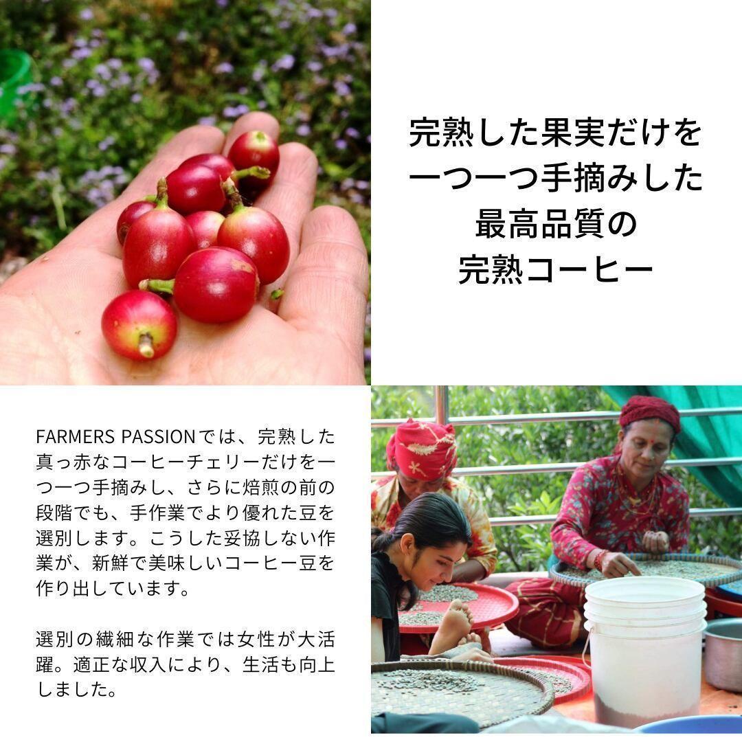 オーガニックコーヒー ストロング フェアトレード 1kg コーヒー豆 ネパール