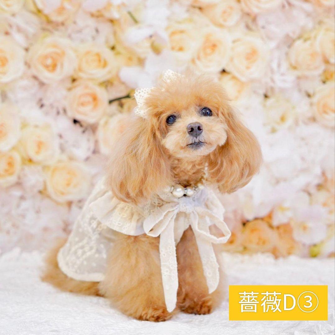 背景布【薔薇I】ローズ　サンプル　ドール、トリミング、ペット撮影用　フォトブース