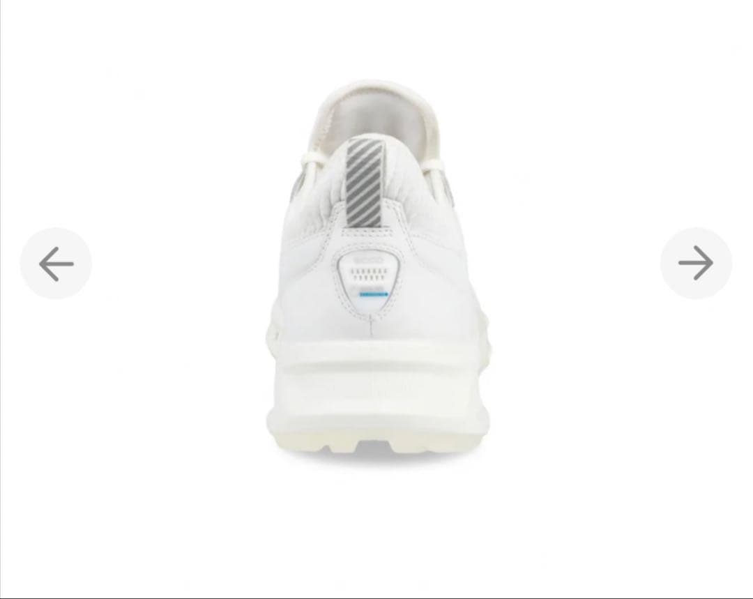 ecco バイオム C4 BIOM