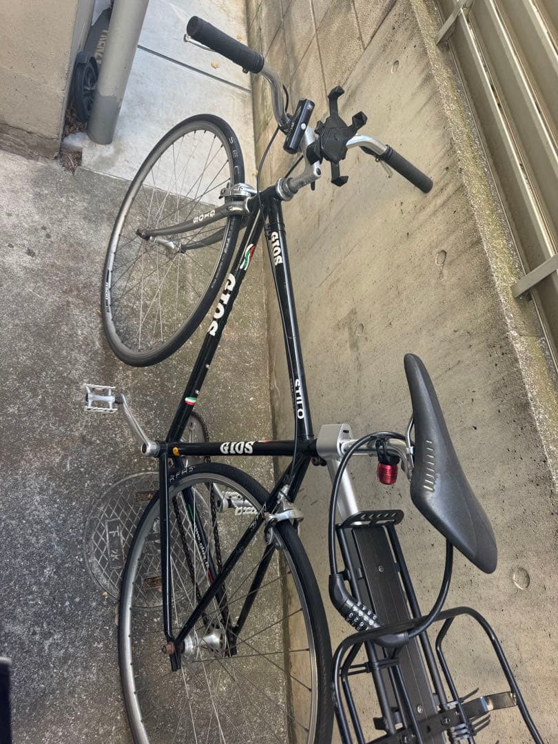ジオス　ピスト完成車