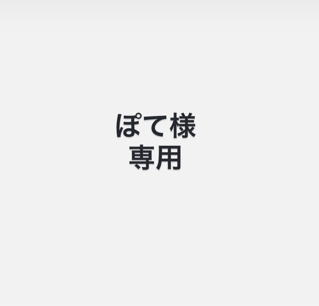 ぽてNintendo Switch Lite➕充電器・ケース付き