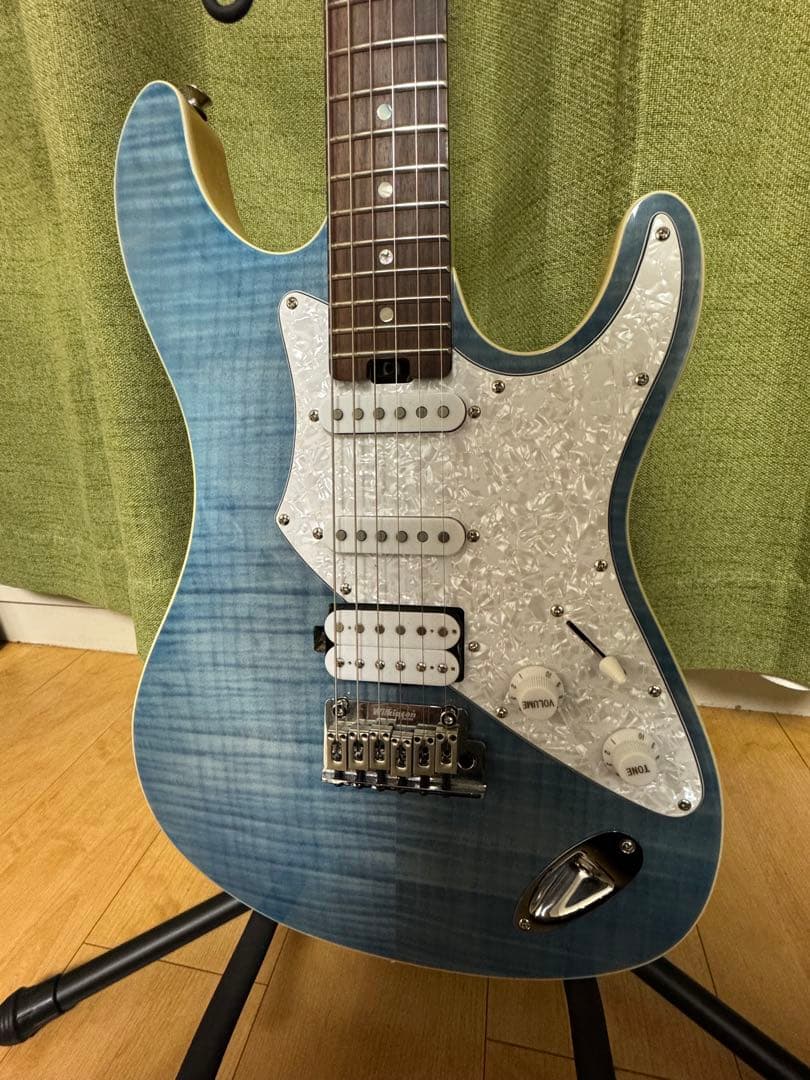 Aria Pro II Evergreen エレキギター 専用ギグバッグ付き