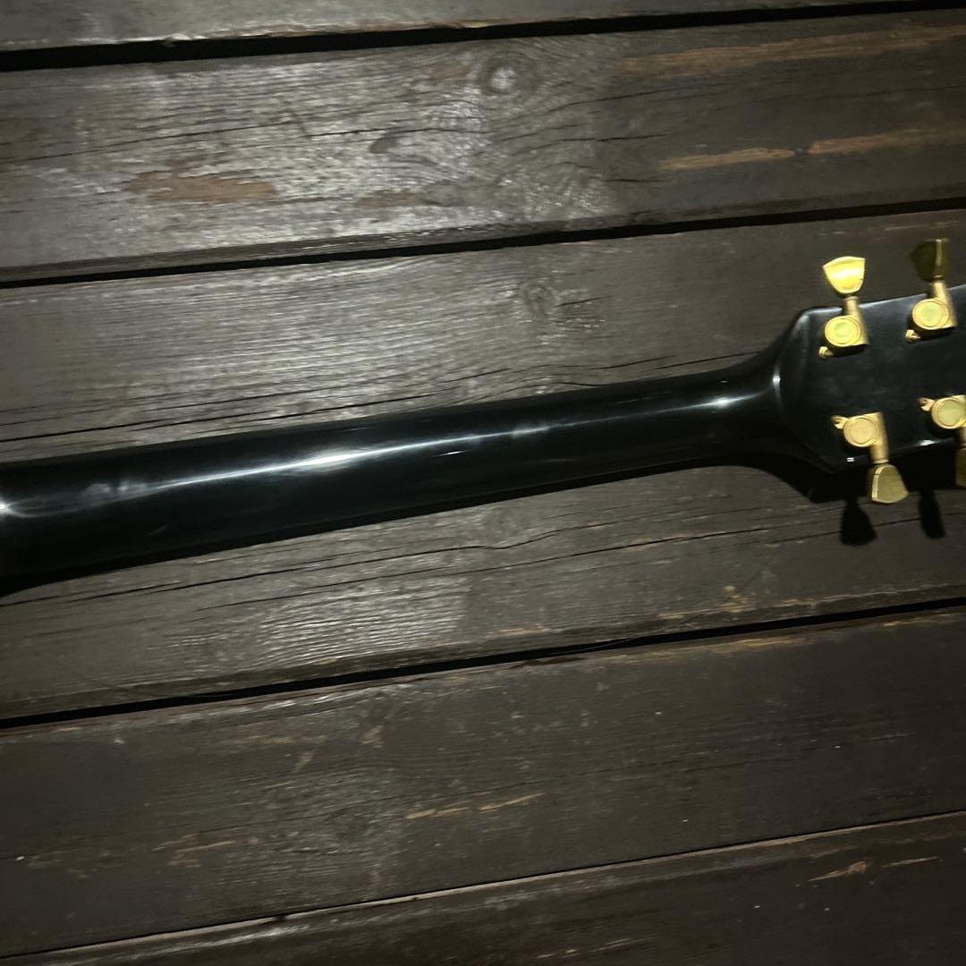 ビンテージ➕新機能　東海楽器の海外ブランドGESSION LP
