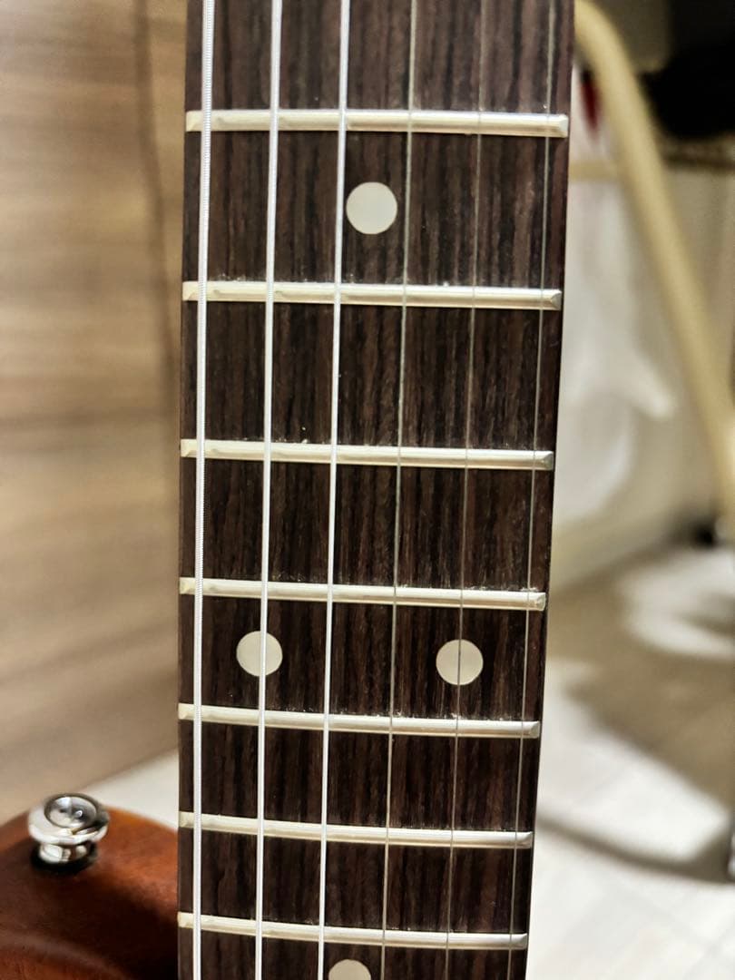 【美品】Pignose ピグノーズ アンプ内蔵ギター　PGG-200　付属品付き