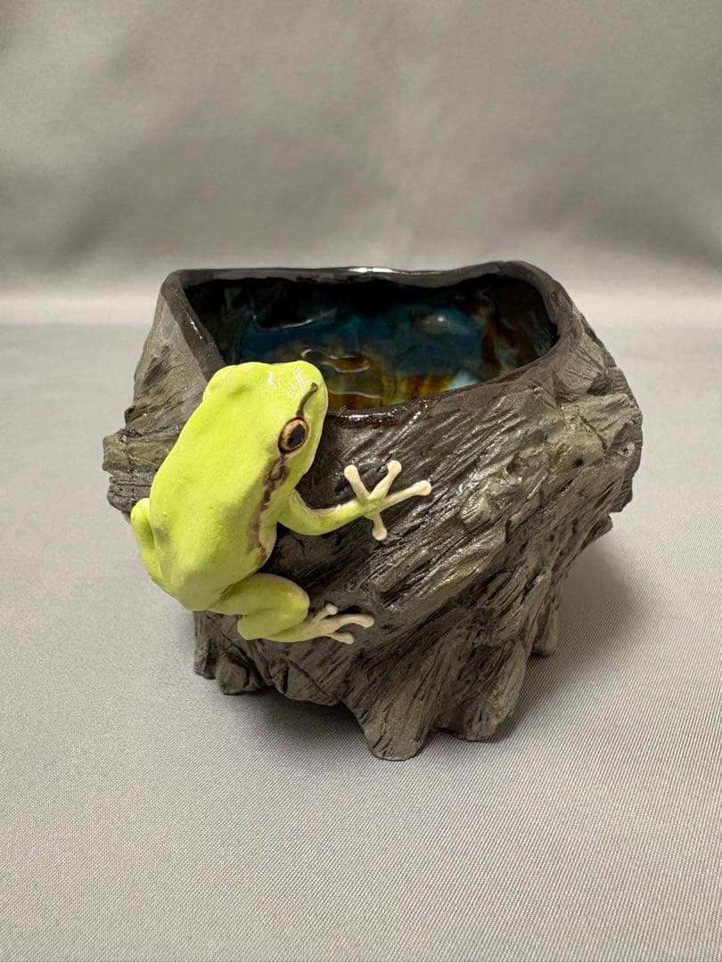 腰越祐貴　樹器とアマガエル