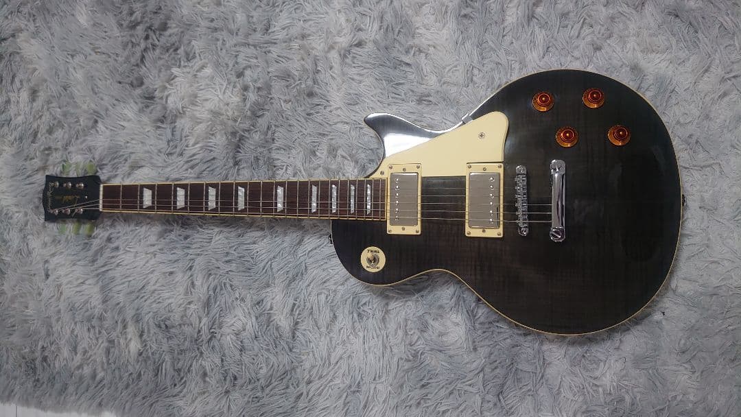 ESP glassroots エレキギター 虎目 レスポールタイプ