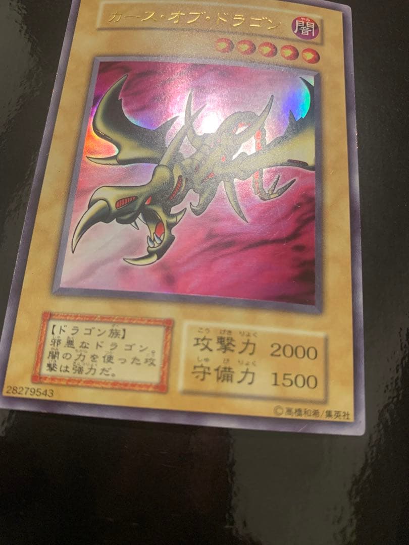 カース・オブ・ドラゴン　確認用