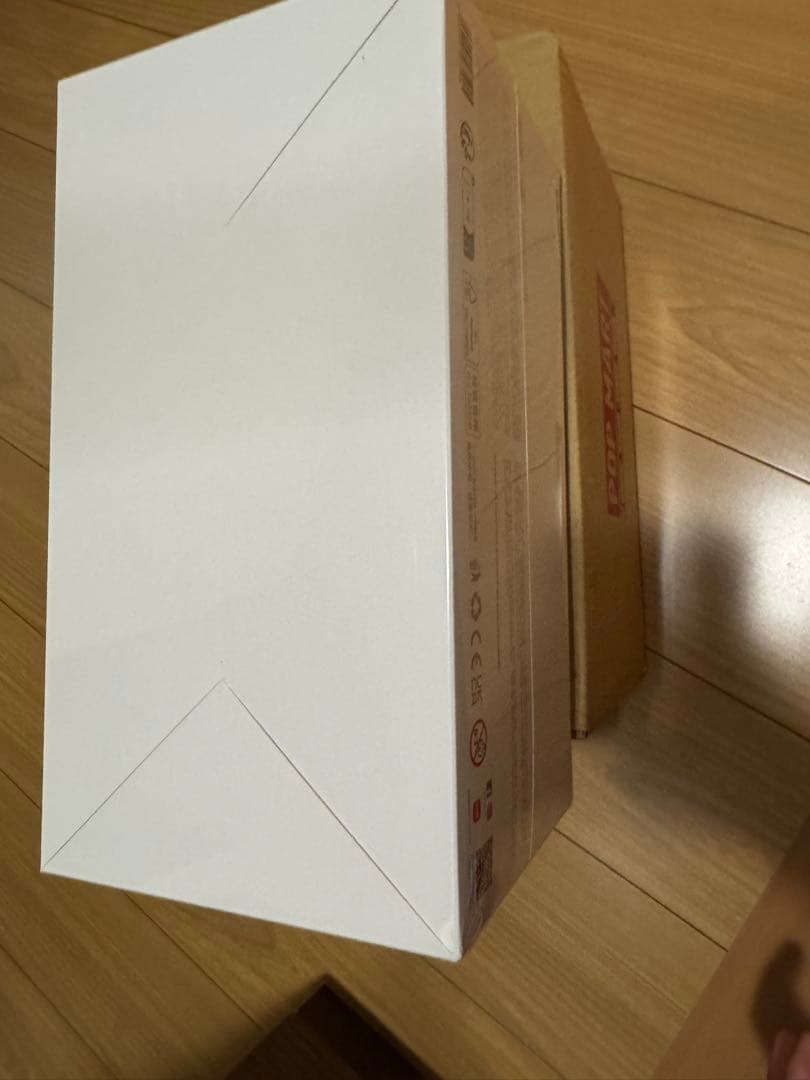 Big into Energy ぬいぐるみ　1アソートボックス ラブブ 正規品