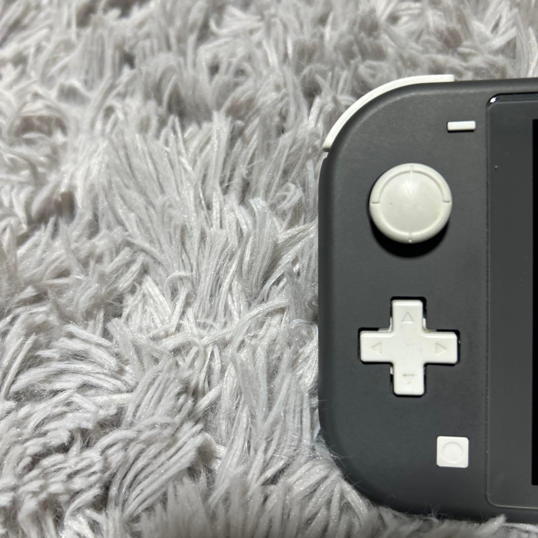 Nintendo Switch Lite グレー+ ゲーム2本