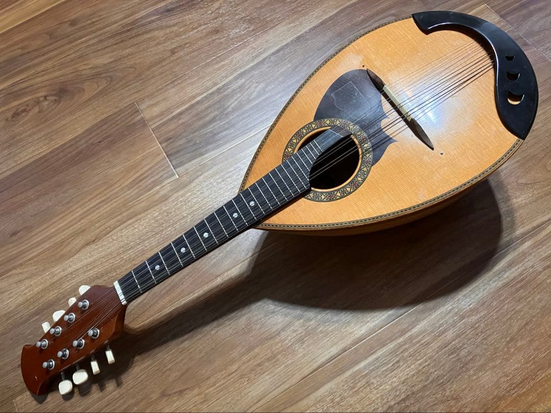 マンドリン　M-210 ハードケース付き　弦楽器　SUZUKI VIOLIN