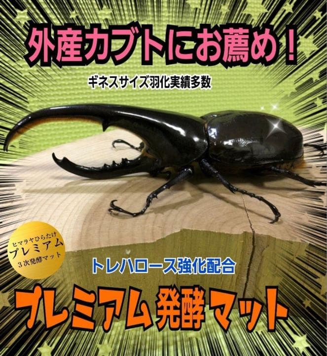 ギネスサイズ実績！特選プレミアム3次発酵カブトムシマット【6袋】特殊アミノ酸配合