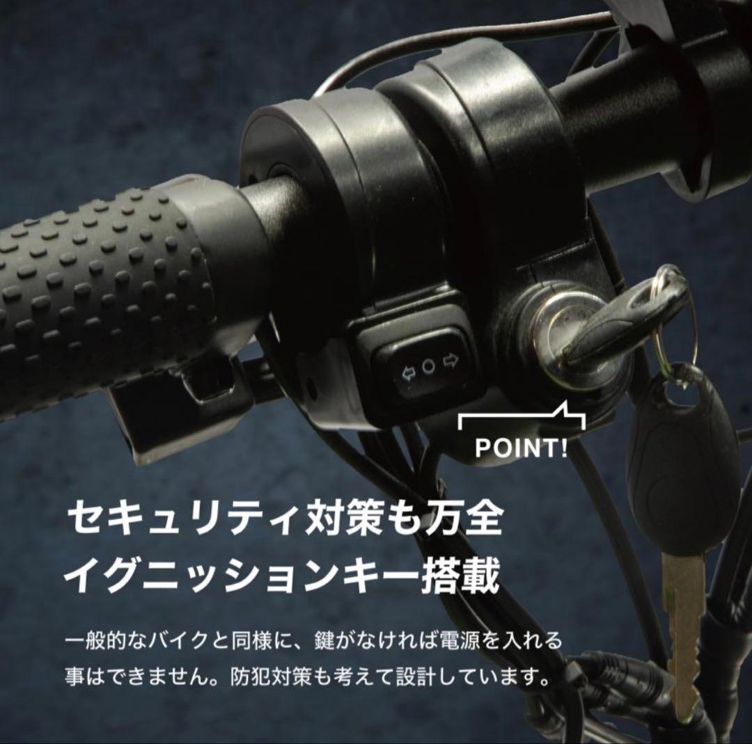RICH BIT CITI リッチビットシティ折りたたみ電動アシスト自転車