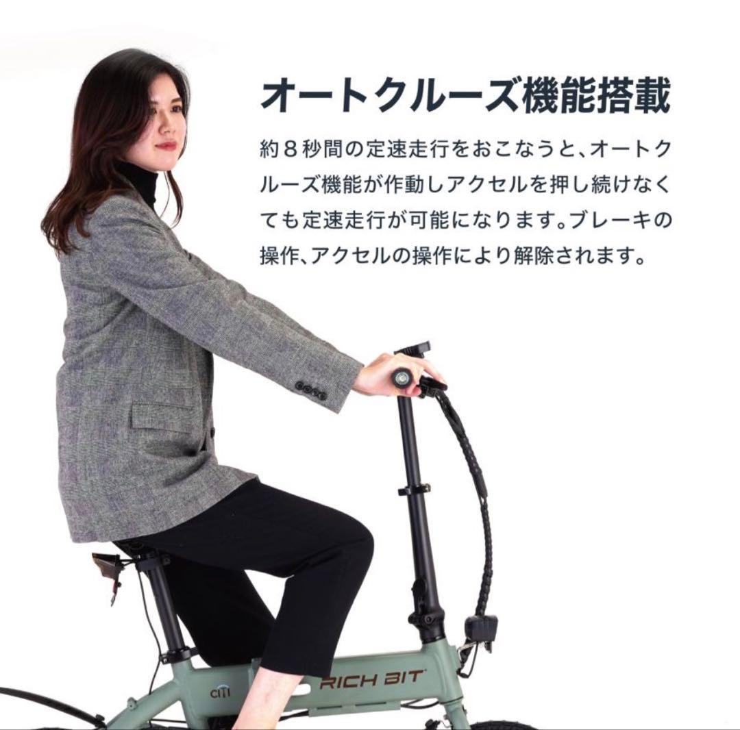 RICH BIT CITI リッチビットシティ折りたたみ電動アシスト自転車