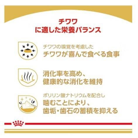 ロイヤルカナン  CANIN チワワ専用ドッグフード 12kg