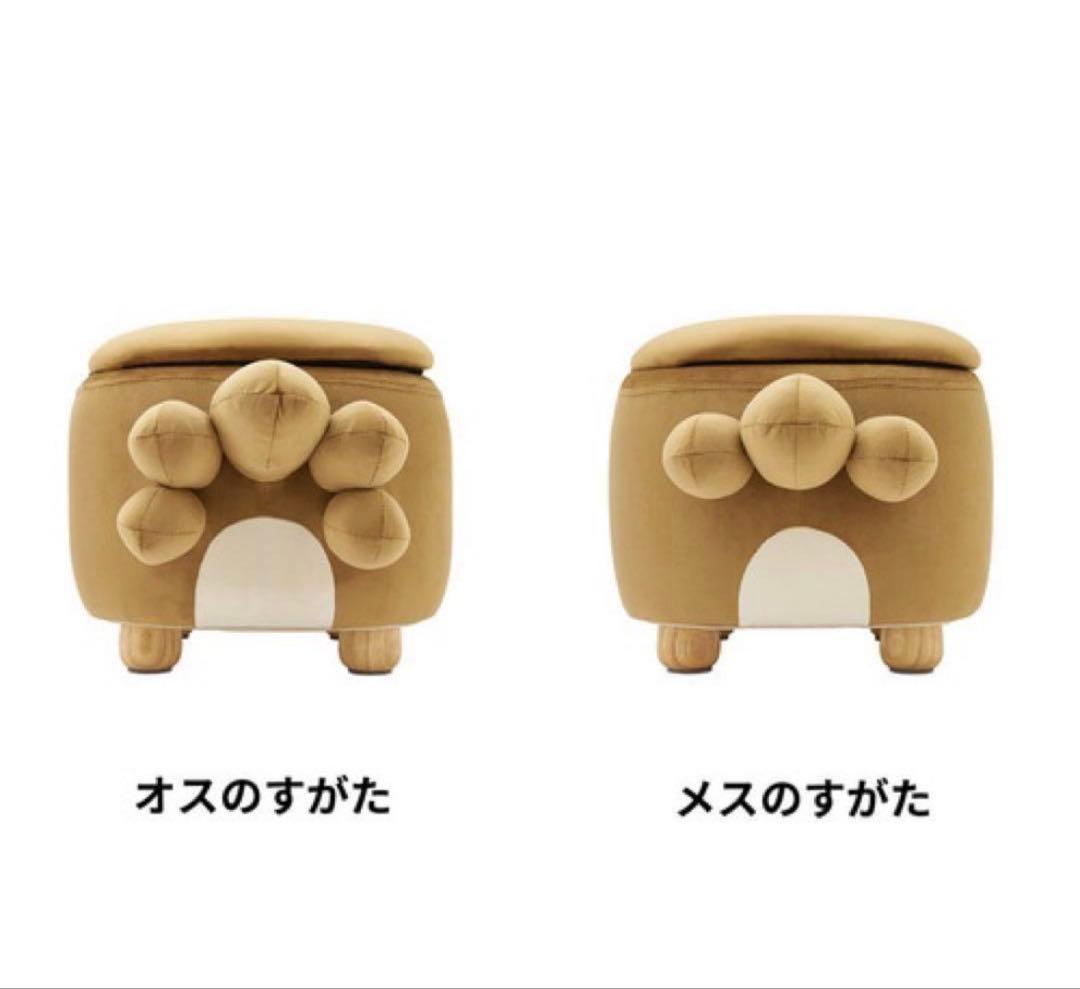 【ビッパ】ポケモンセンター受注生産 ポケモンスツール　ビッパ オスの姿