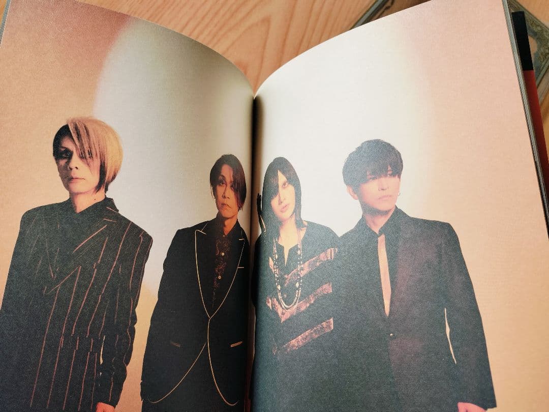 Plastic Tree グッズまとめ売り