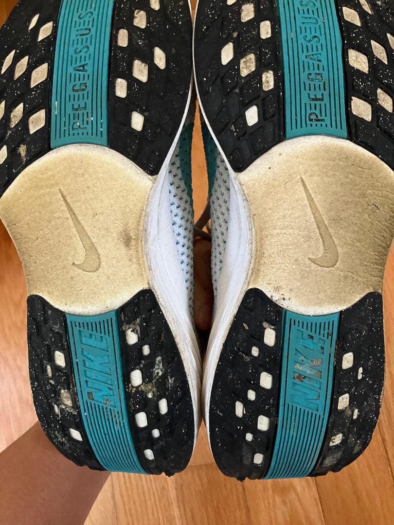 Nike ペガサスプラス 25cm
