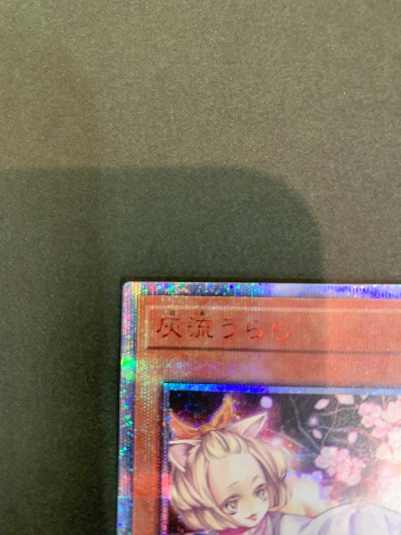 遊戯王 灰流うらら 20th