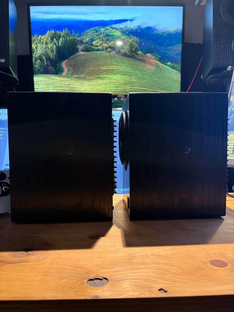 musikelectronics geithain RL906 ペア連番