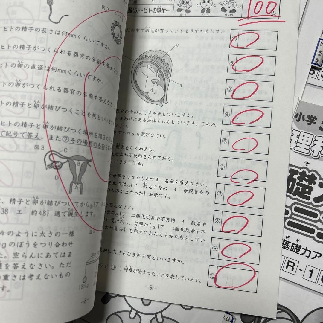 ⑮ 貴重品‼️ サピックス　SAPIX 5年　理科　基礎力トレーニング