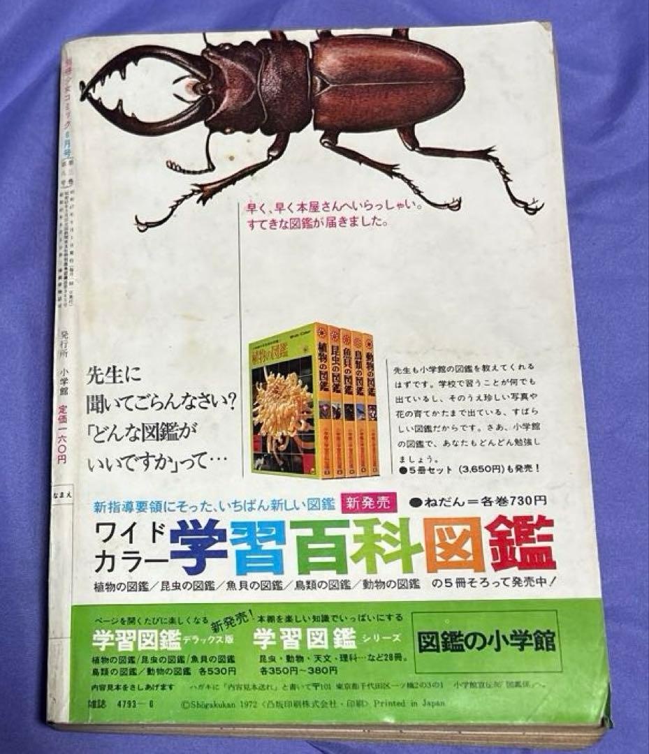 珍品 希少 別冊少女コミック1972（昭和47） 年6月号