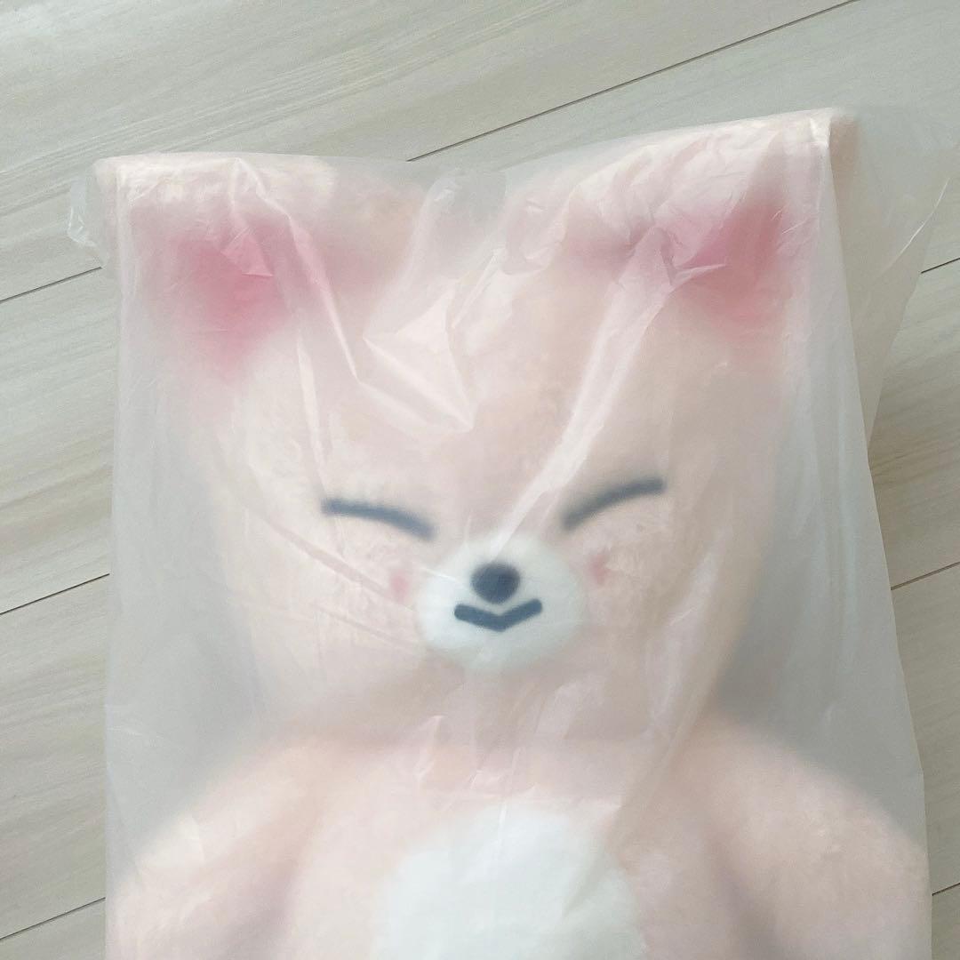 フォクシニー　アイエン　スキズ　テディ　テディベア　新品未開封