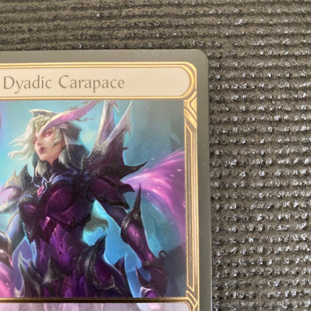 Flesh and Blood　Dyadic Carapace　CF拡張アート版