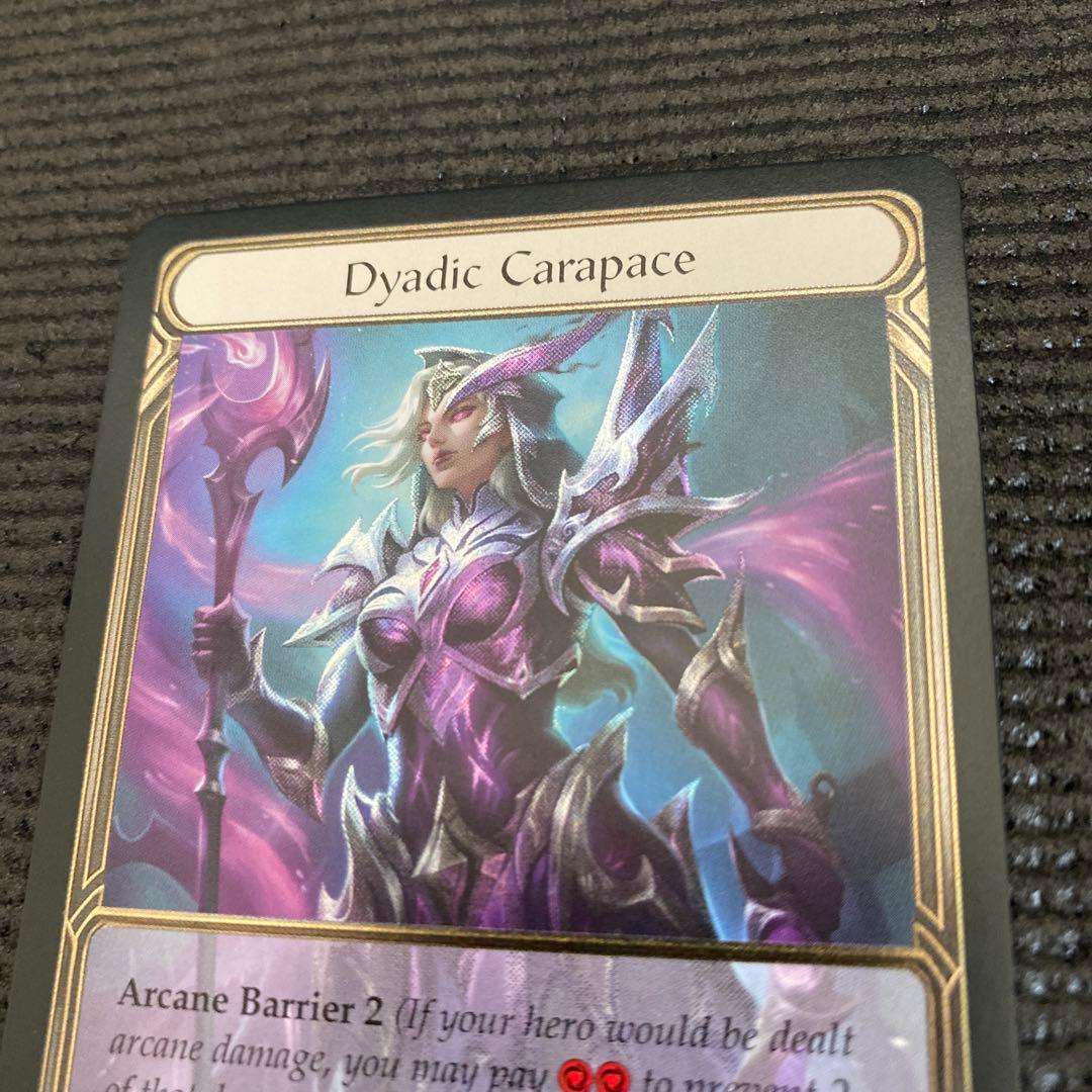 Flesh and Blood　Dyadic Carapace　CF拡張アート版