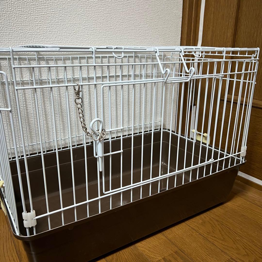 ハリネズミ用飼育セット