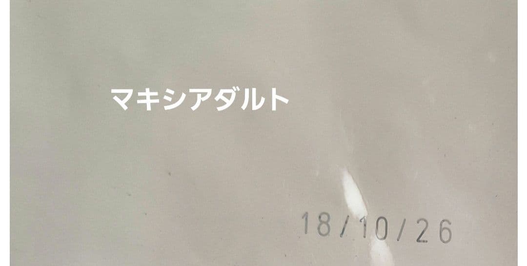 ロイヤルカナン　マキシアダルト 16kg　 CANIN大型犬
