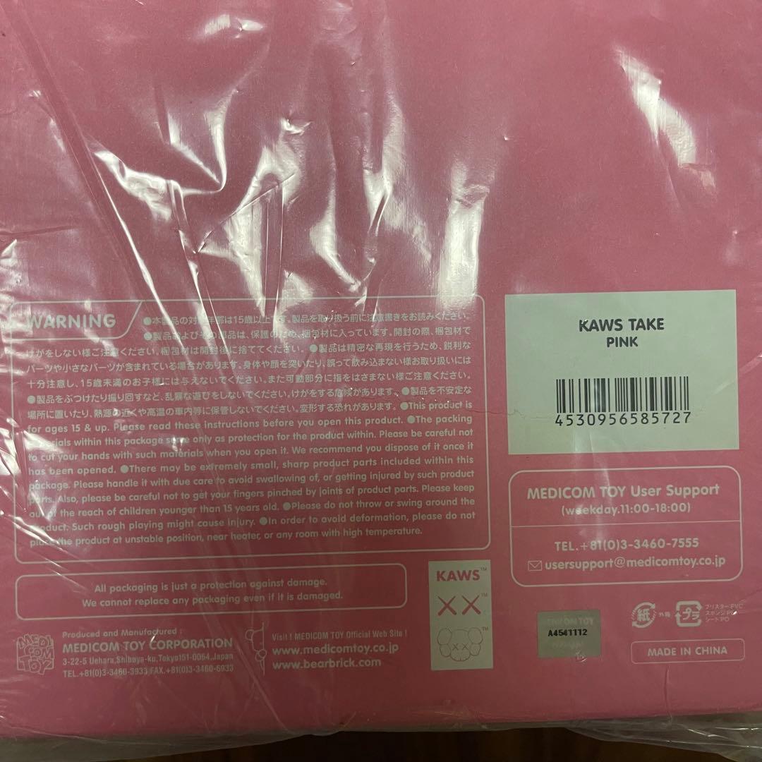 その他 kaws take