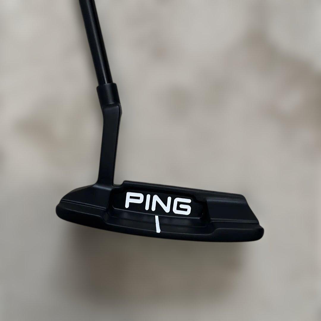 PING ANSER 2D パター